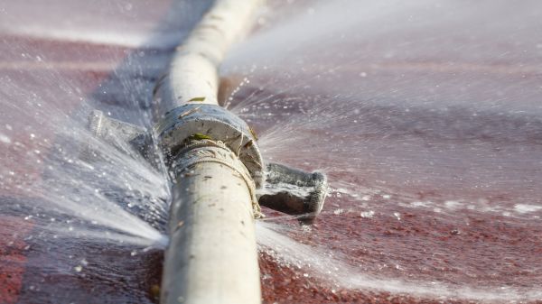 Burst Pipe Cleanup in Brighton