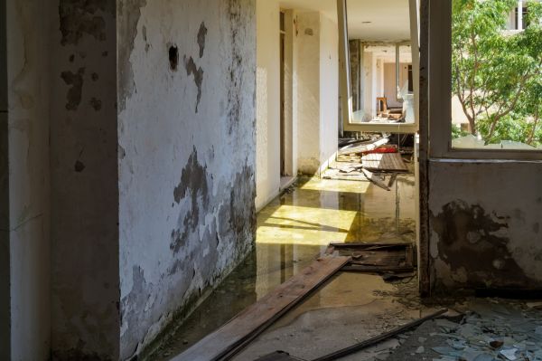 Water Removal Service in Brighton