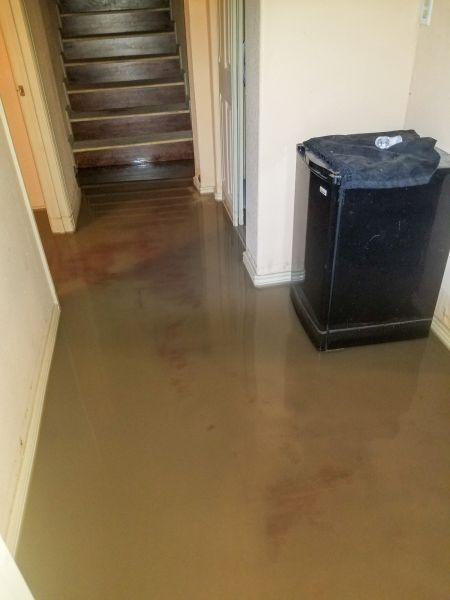 Emergency Water Removal in Brighton