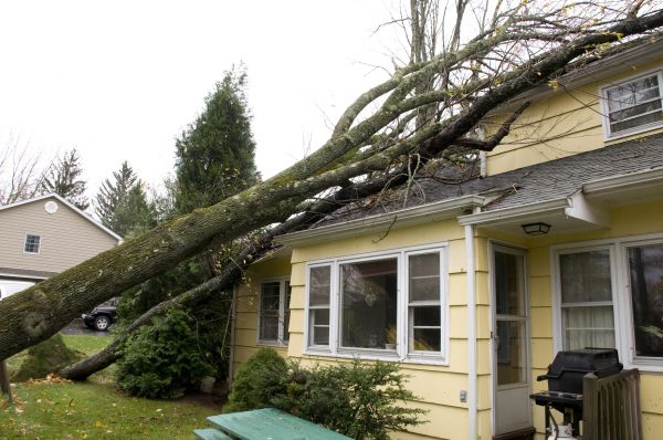 Hurricane Damage Repair in Brighton